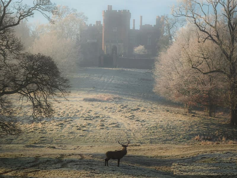 Powis Castle with deer in foreground